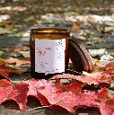 Autumn Vibes 8oz Candle